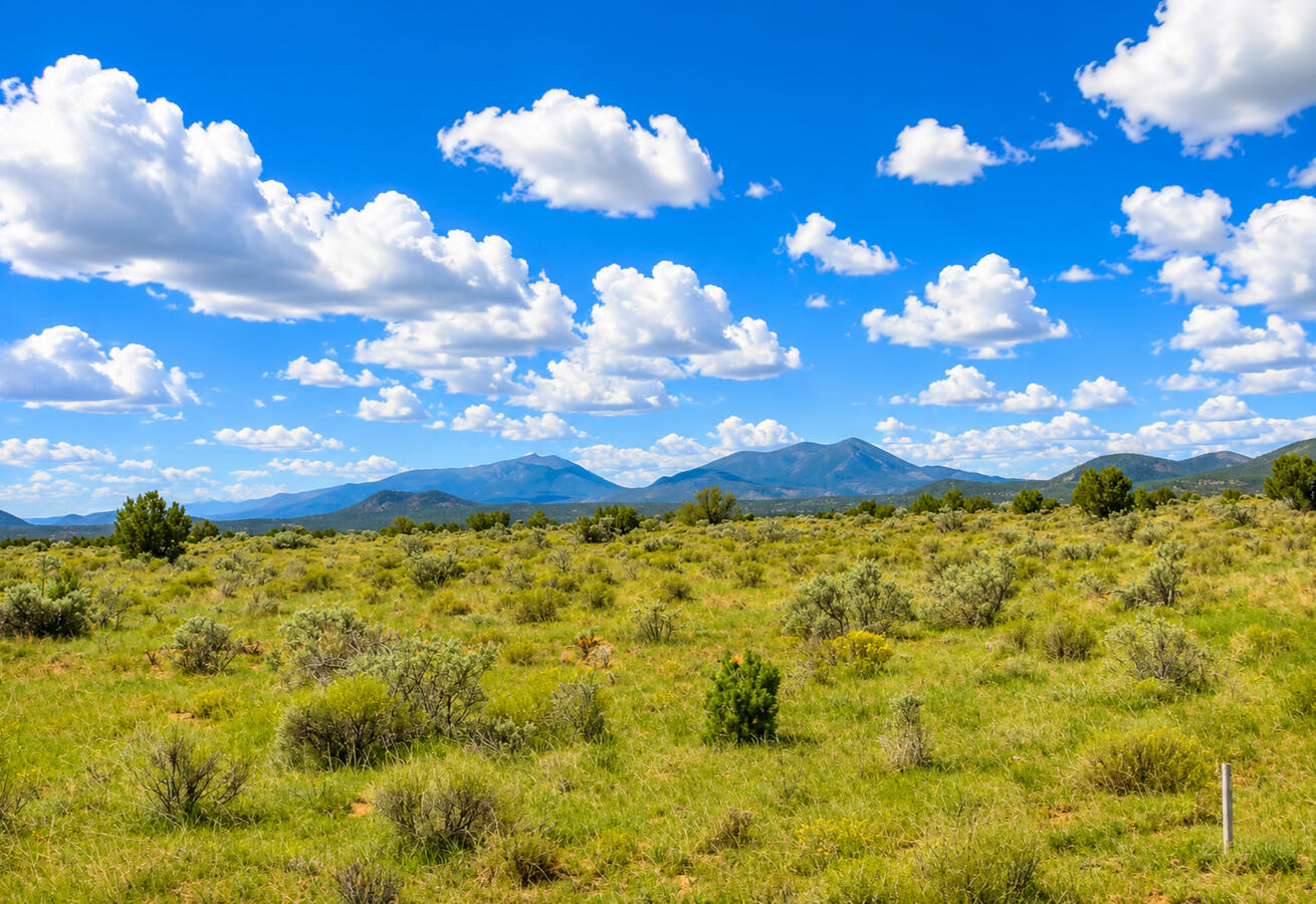 Coconino 1.04 Acres, 503-02-019 - 316 E Rutgers Ave, Williams, AZ 86046 Coconino 1.04 Acres, 503-02-019 - 316 E Rutgers Ave, Williams, AZ 86046