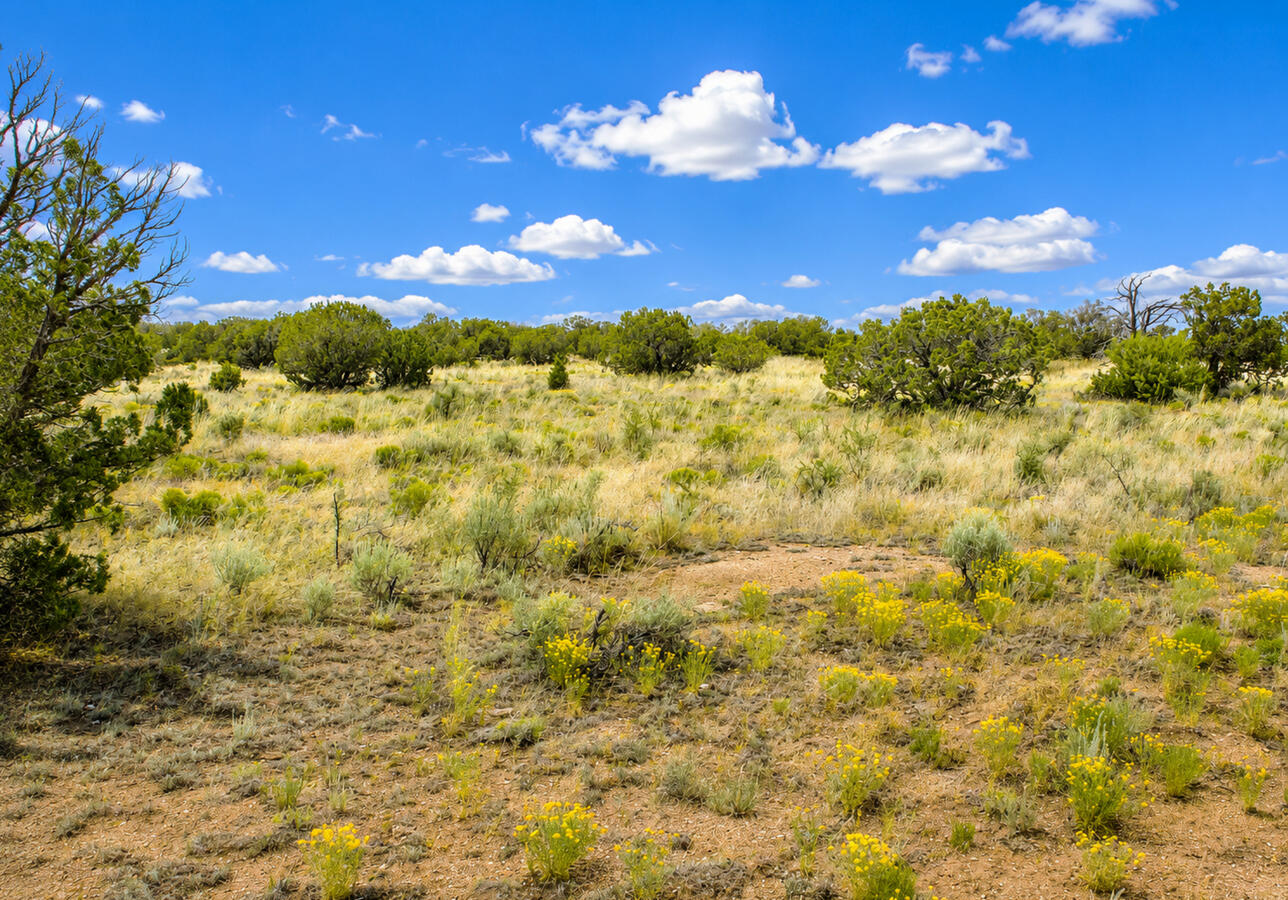 Coconino 1.04 Acres, 503-02-019 - 316 E Rutgers Ave, Williams, AZ 86046 Coconino 1.04 Acres, 503-02-019 - 316 E Rutgers Ave, Williams, AZ 86046