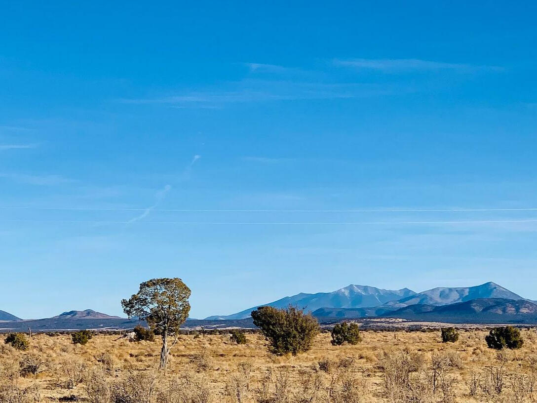 Coconino 1.04 Acres, 503-02-019 - 316 E Rutgers Ave, Williams, AZ 86046