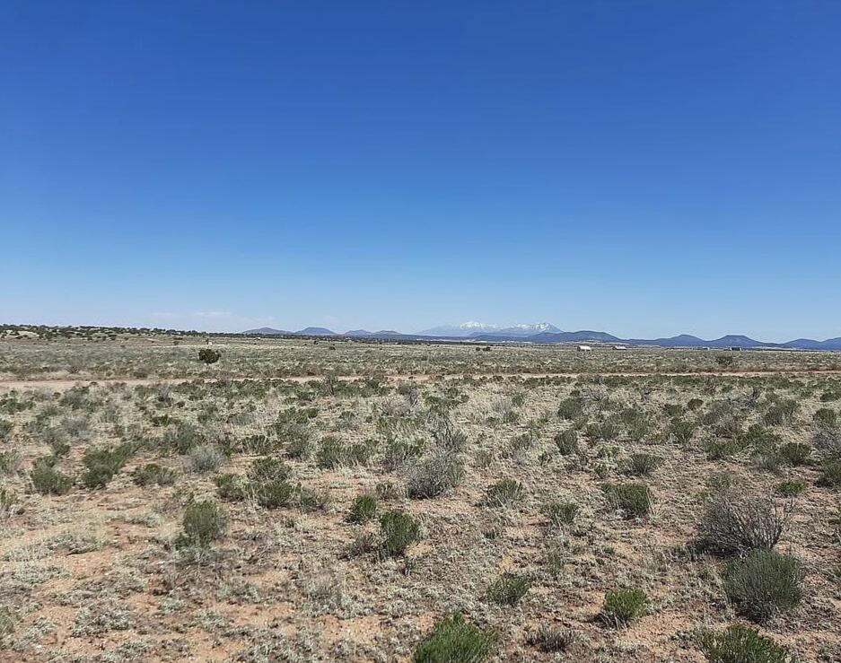 Coconino 1.04 Acres, 503-02-019 - 316 E Rutgers Ave, Williams, AZ 86046