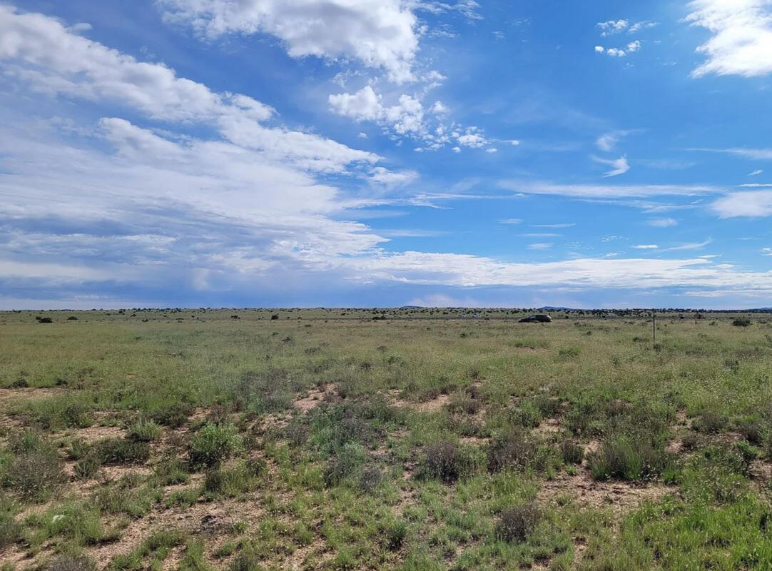 Coconino 1.04 Acres, 503-02-019 - 316 E Rutgers Ave, Williams, AZ 86046