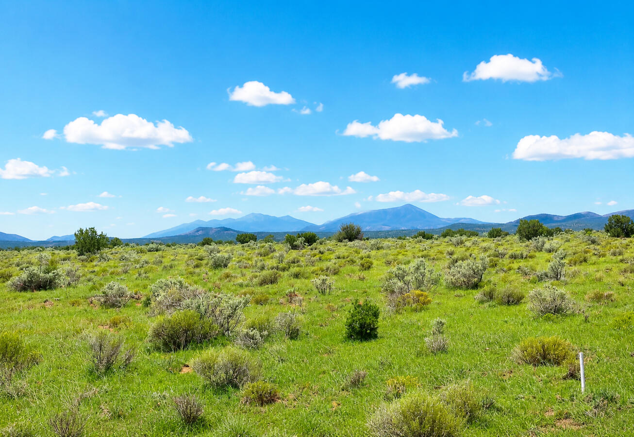 Coconino 1.04 Acres, 503-02-019 - 316 E Rutgers Ave, Williams, AZ 86046