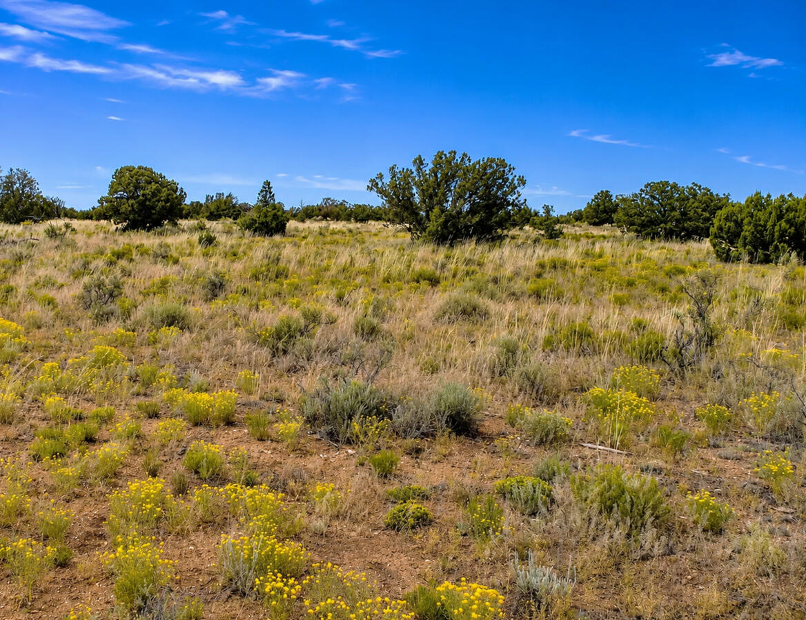 Coconino 1.04 Acres, 503-02-019 - 316 E Rutgers Ave, Williams, AZ 86046